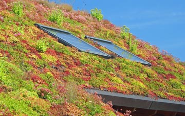 Yewtree Cross living roof systems